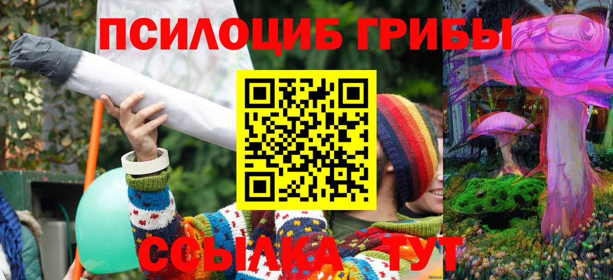 Псилоцибиновые грибы Psilocybe Георгиевск